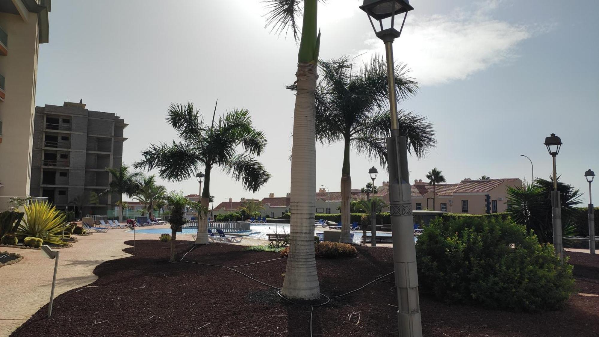 Sungolf Apartman San Miguel de Abona Esterno foto